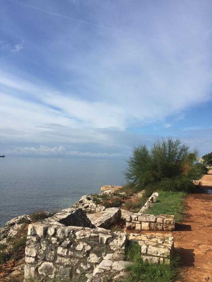 Villa Eva Karigador Novigrad Istria 外观 照片