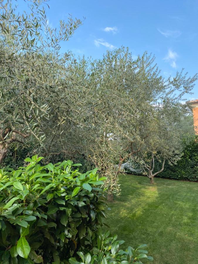 Villa Eva Karigador Novigrad Istria 外观 照片