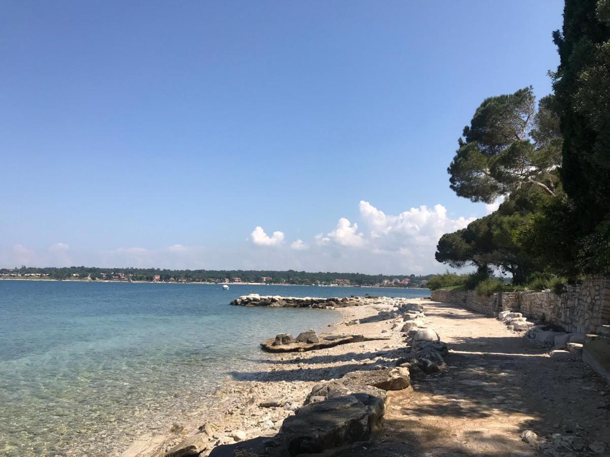 Villa Eva Karigador Novigrad Istria 外观 照片