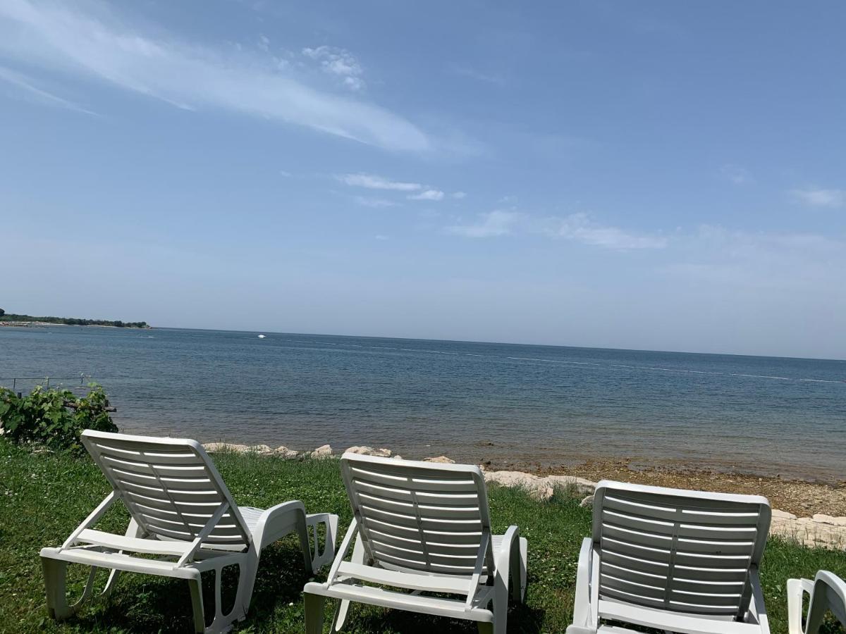 Villa Eva Karigador Novigrad Istria 外观 照片