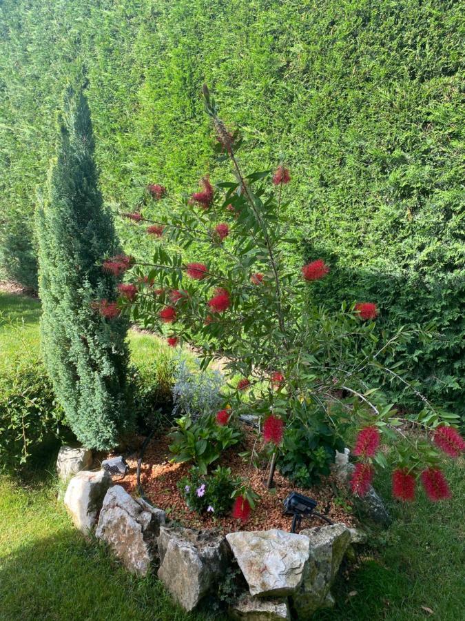 Villa Eva Karigador Novigrad Istria 外观 照片